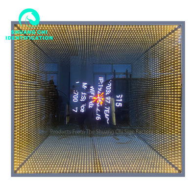 Melaleuca Abyss Mirror Infinity Mirror Neon Art 12 Decorazione d'interni 2023 Prodotti caldi