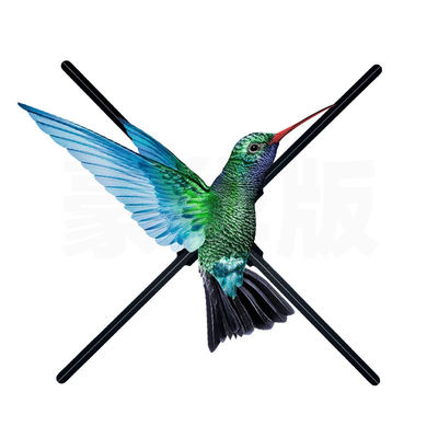 16Gb Card Ventilator Hologramma olografico pubblicitario Led Fan Display 3D Hologram Fan OEM