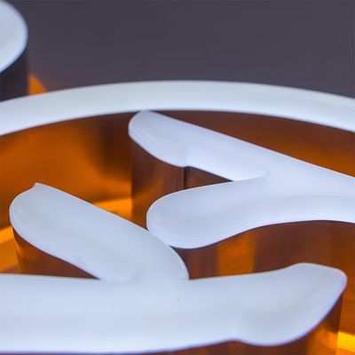 Logo personalizzato caratteri luminosi con acrilico in acciaio inossidabile LED striscia illuminazione