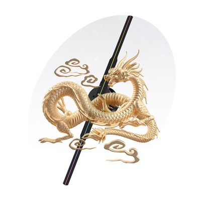 MP4/AVI/RMVB/GIF/JEPG/PNG/MKV Compatibile 3D Hologram Fan 42cm per pubblicità all'aperto